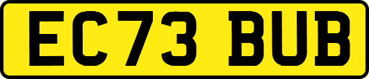 EC73BUB