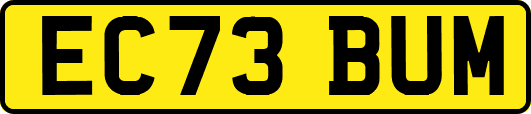 EC73BUM