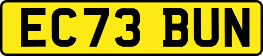 EC73BUN