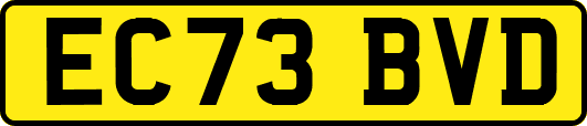EC73BVD
