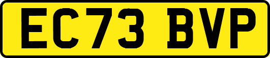 EC73BVP