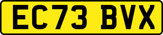 EC73BVX