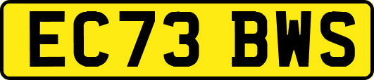 EC73BWS