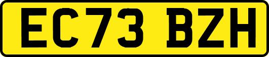 EC73BZH