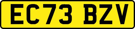 EC73BZV