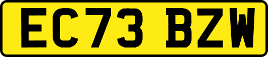 EC73BZW