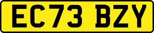 EC73BZY