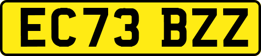 EC73BZZ