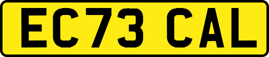 EC73CAL