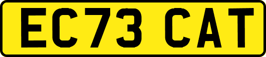 EC73CAT
