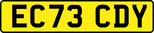 EC73CDY