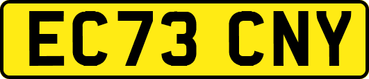 EC73CNY