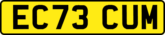 EC73CUM