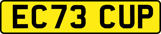 EC73CUP