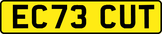 EC73CUT