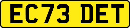 EC73DET