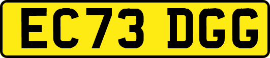 EC73DGG