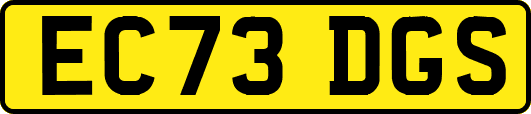 EC73DGS