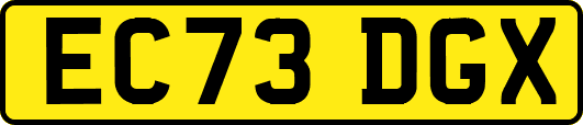 EC73DGX