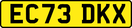 EC73DKX