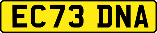 EC73DNA