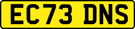 EC73DNS