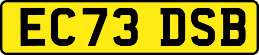 EC73DSB