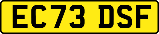 EC73DSF