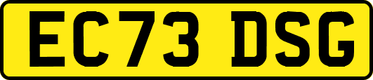 EC73DSG