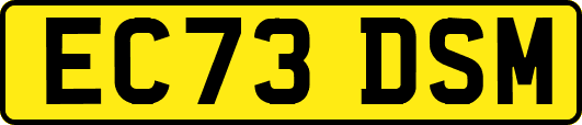 EC73DSM