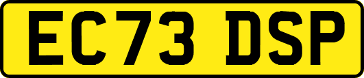 EC73DSP