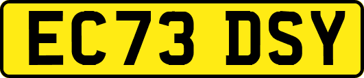 EC73DSY