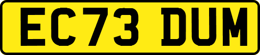EC73DUM