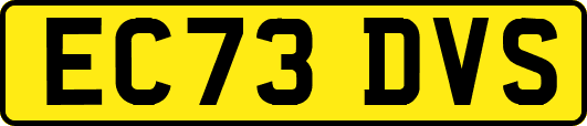 EC73DVS