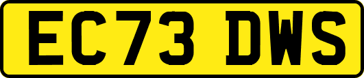 EC73DWS