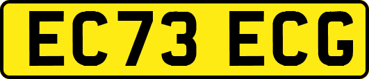 EC73ECG