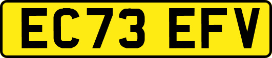 EC73EFV