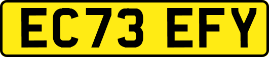 EC73EFY