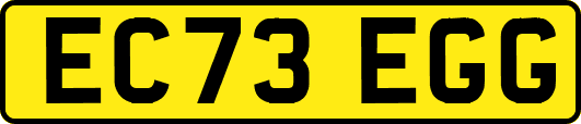 EC73EGG