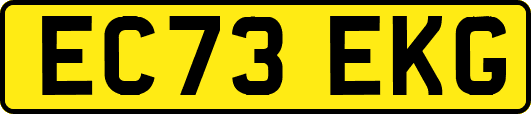EC73EKG