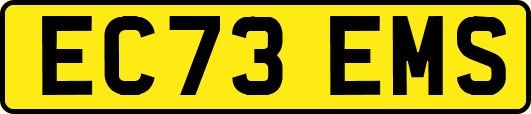 EC73EMS