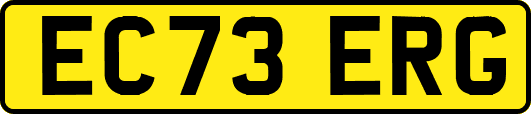 EC73ERG
