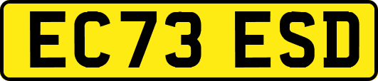 EC73ESD