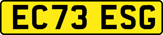 EC73ESG