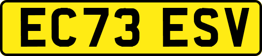EC73ESV