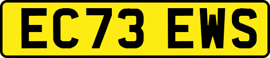 EC73EWS
