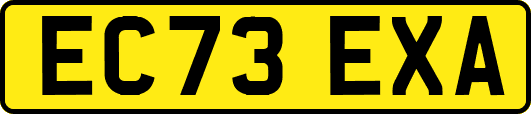 EC73EXA