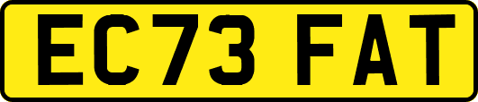 EC73FAT