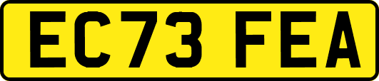 EC73FEA
