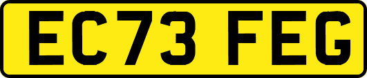 EC73FEG